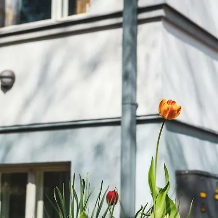 Wiide Willa Studio Apartment *