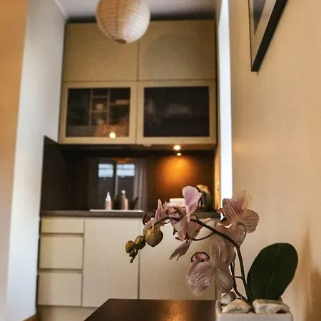 Wiide Willa Studio Tallinn